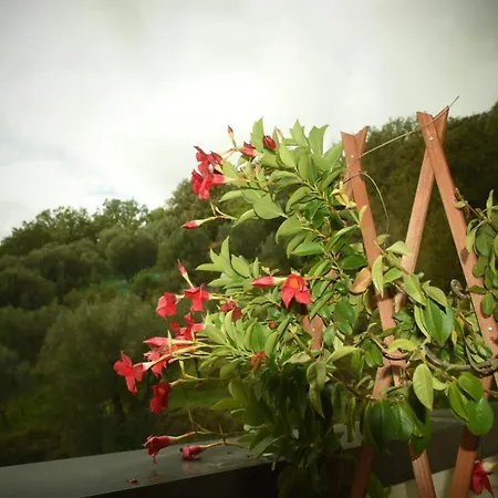 Nocleg ze śniadaniem Marsilio Abatemarco