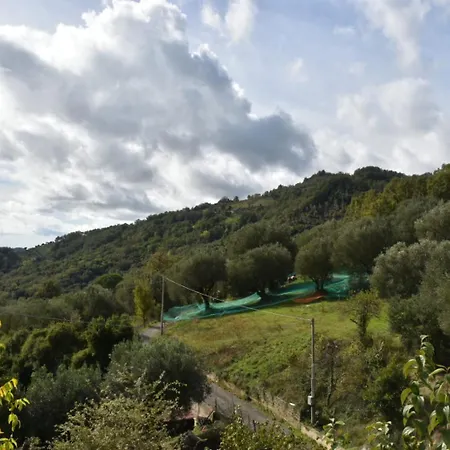 住宿加早餐酒店 Marsilio Abatemarco