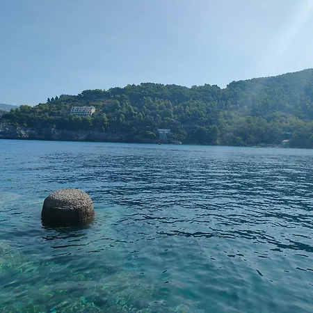 住宿加早餐酒店 Marsilio